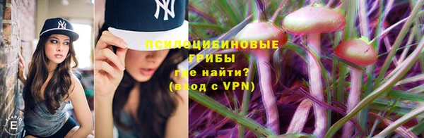 прущие крисы Арсеньев